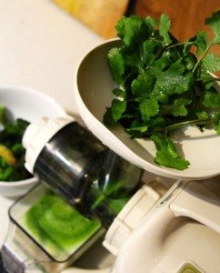 My juicer - ideal for kale and cilantro 