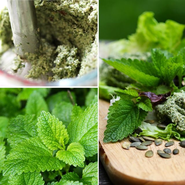 Lemon Balm Pate