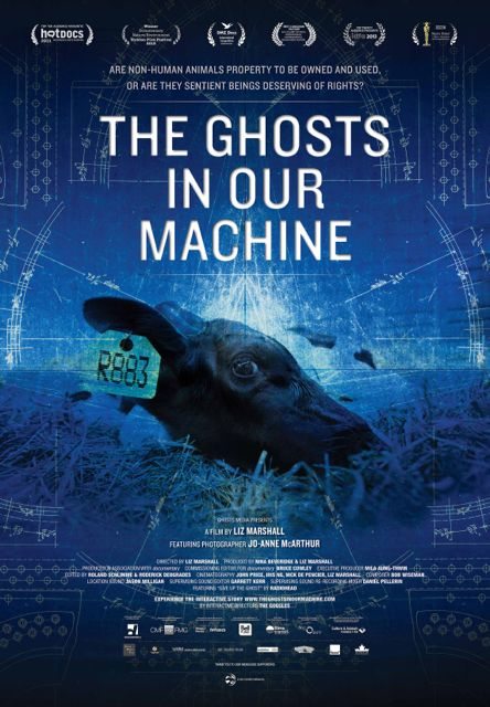 The Ghosts in Our Machine