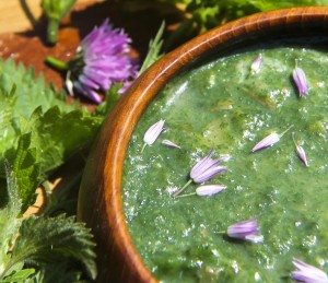 nettle soup_300x260