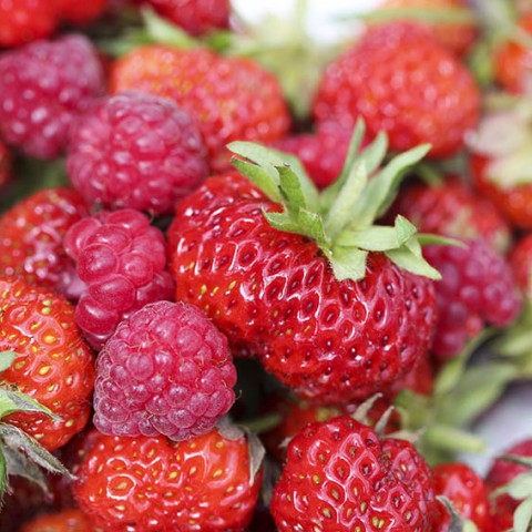 Raspberries & Strawberries from Trinity's Garden