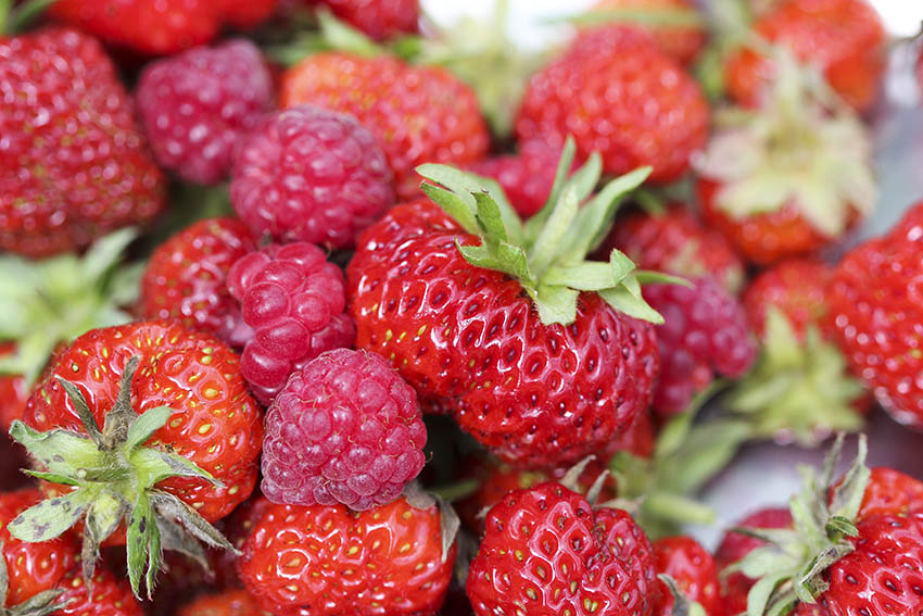 Raspberries & Strawberries from Trinity's Garden