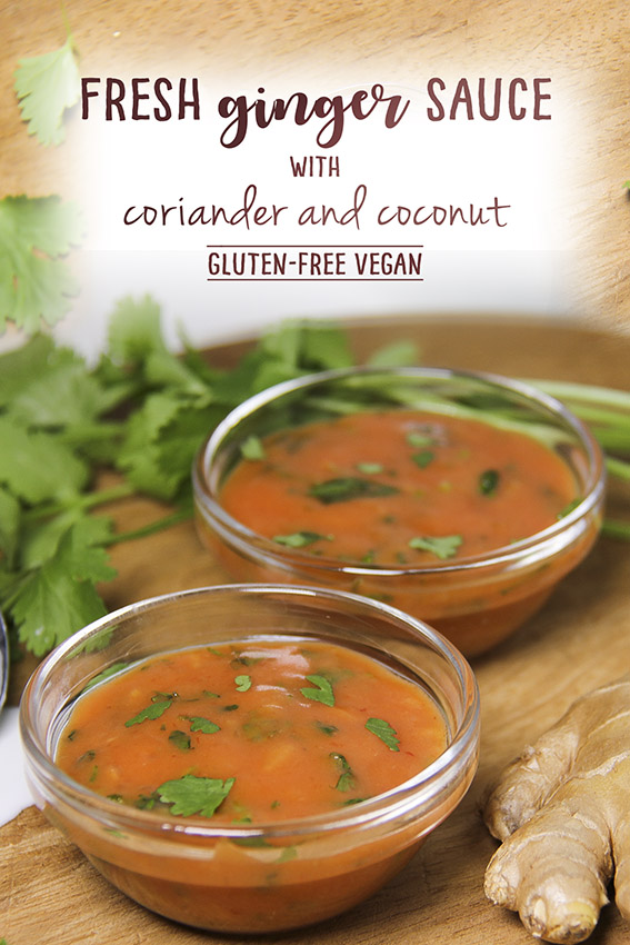Creamy Ginger Sauce with tomato and coconut by Trinity - vegan, gluten-free