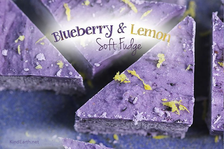 Blueberry & lemon fudge made with coconut, maple syrup, frozen blueberries, lemon - vegan, gluten-free by Anastasia, Kind Earth
