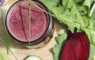Immune system boost and excellent jet lag remedy - beetroot ginger by Anastasia, Kind Earth