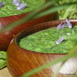 Minted nettle and pea soup - vegan with coconut