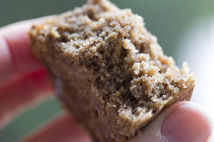 Banana Bread Close