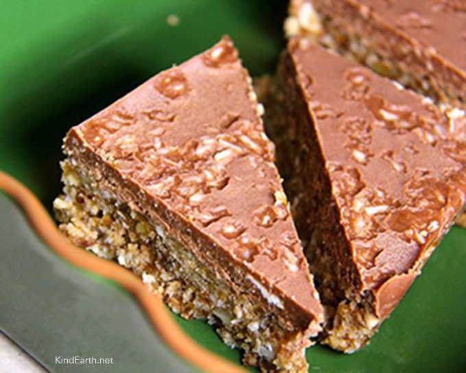 Raw chocolate covered coconut vegan bliss bars