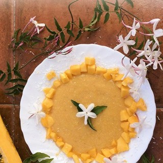 Papaya & Coconut Smoothie Bowl (only 3 ingredients)