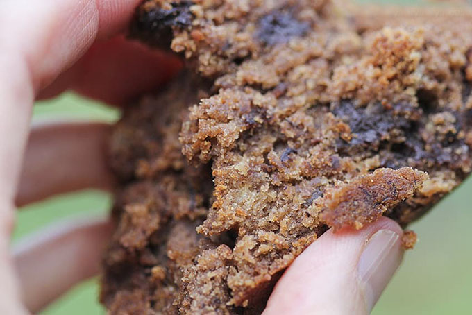 Gluten-free chocolate chip banana bread by Anastasia with no refined sugar