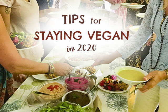 Tips for staying vegan in 2020