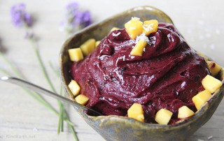 Easy Blender Ice Cream - Vegan 'nice cream' Blueberry - with only 3 ingredients by Anastasia, Kind Earth