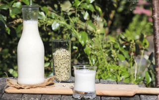 Hemp milk