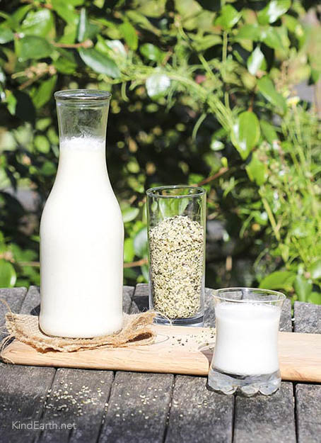 Hemp milk recipe by Anastasia, Kind Earth