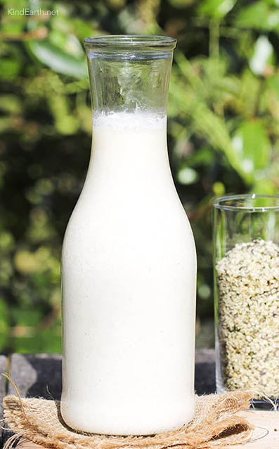 Make vegan hemp milk