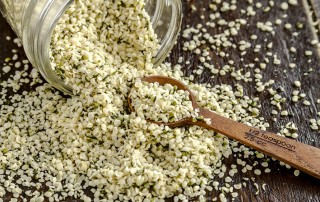 Raw shelled hemp seeds all about