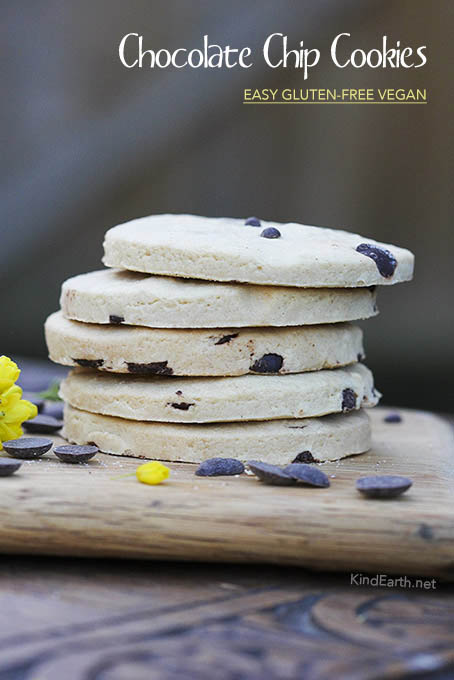 Vegan, gluten-free chocoalte chip cookie biscuits by Anastasia