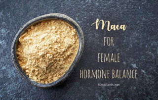 Maca for hormone balance article with gelatinised maca