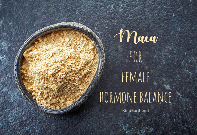 Maca for hormone balance article with gelatinised maca
