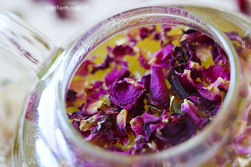 Love yourself beautiful TEA recipe with fennel seed, rose petals, liquorice by Anastasia, Kind Earth