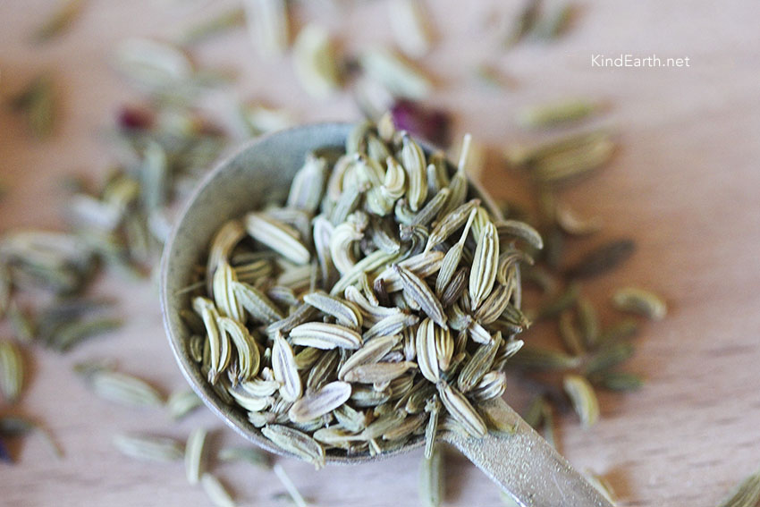 Fennel Seeds by Anastasia