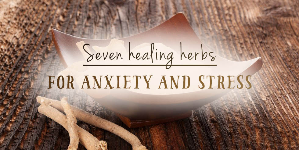 Healing herbs for anxiety and stress