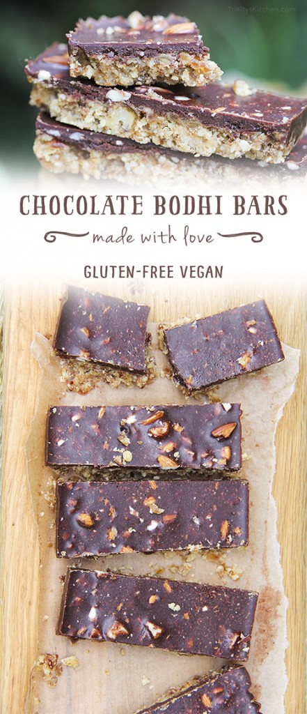 Chocolate Bodhi Bar - with nuts, dates and homemade healthy chocolate #vegan #glutenfree #dairyfree