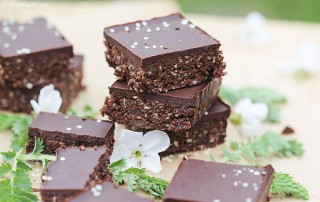 Raw Chocolate Hemp Seed Brownies - gluten-free, vegan, naturally sweetened by Anastasia, Kind Earth