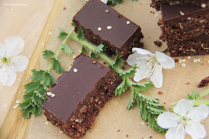 Raw Chocolate Hemp Seed Brownies - gluten-free, vegan, naturally sweetened by Anastasia, Kind Earth