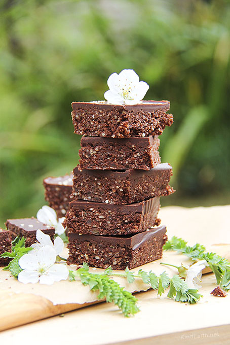 Raw Chocolate Hemp Seed Brownies - gluten-free, vegan, naturally sweetened by Anastasia, Kind Earth