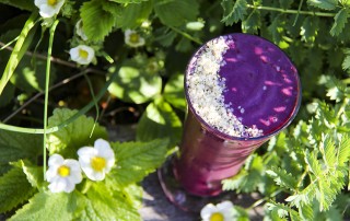 Blueberry hempster smoothie with lots of powerful health benefits by Anastasia - Kind Earth