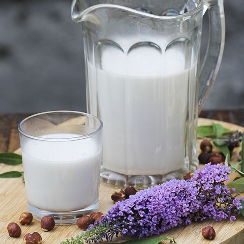 Homemade hazelnut milk recipe with a dash of maple syrup and vanilla - vegan, plant-based and healthy