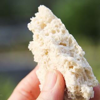 Gluten-free vegan flatbread recipe by Trinity