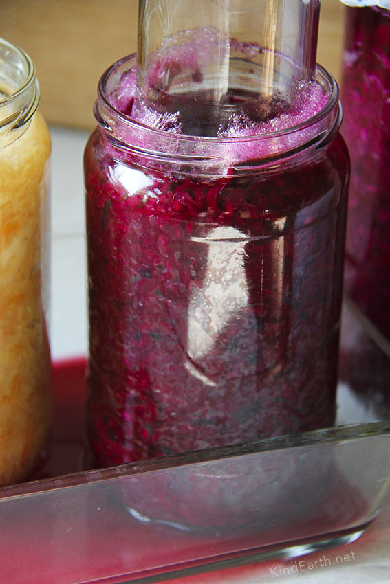 How to make delicious sauerkraut that works every time (in a jar) by Anastasia from Kind Earth