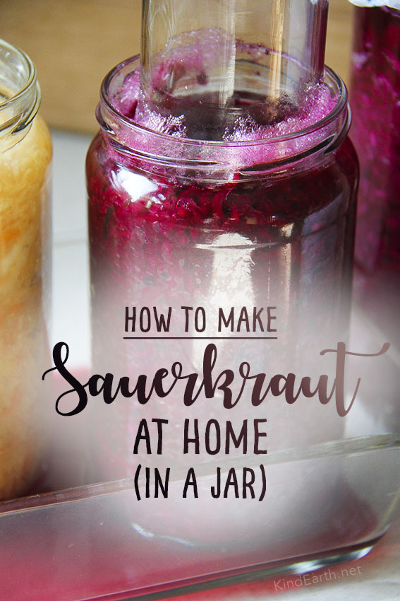 How to make delicious sauerkraut that works every time (in a jar) by Anastasia from Kind Earth
