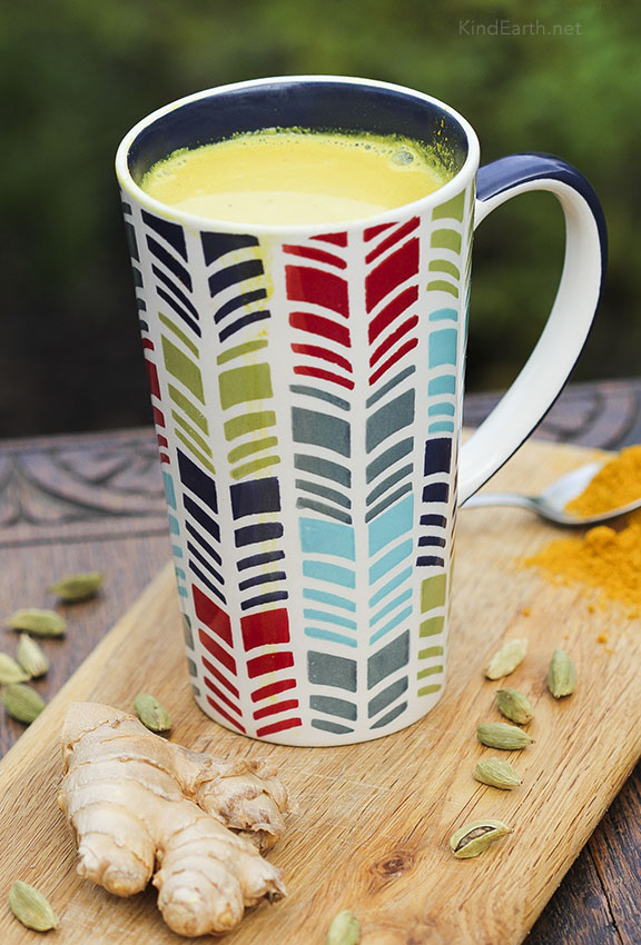 Milky vegan turmeric drink with cardamom & ginger by Anastasia,  Kind Earth