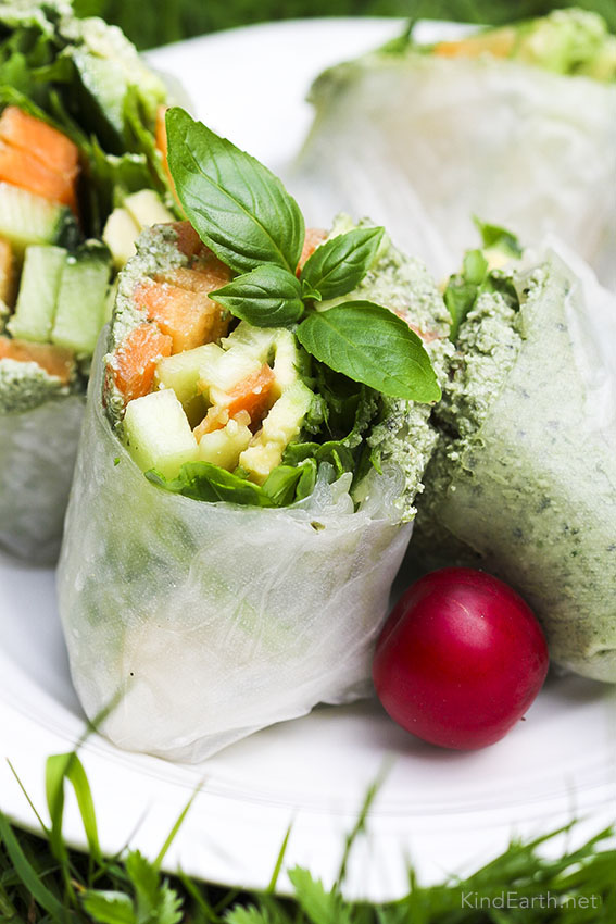 Spring rolls with rice paper wraps made easy - by Anastasia KindEarth