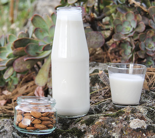 Homemade almond milk with dates - vegan, gluten-free by Anastasia at Kind Earth