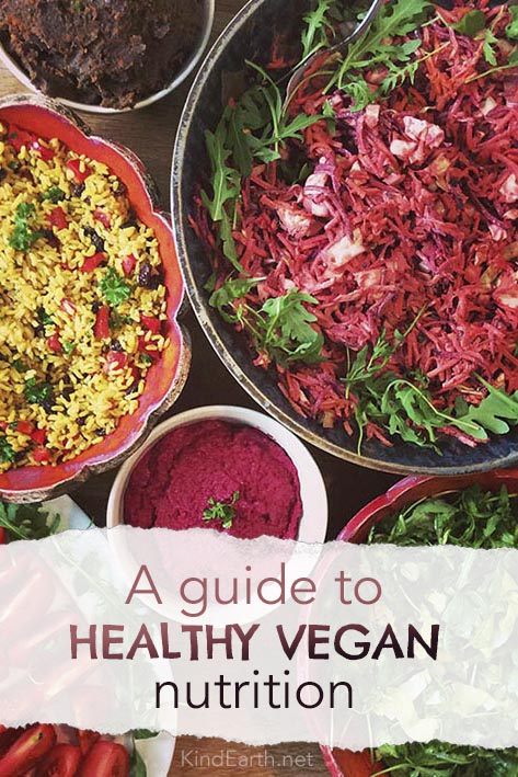 A guide to healthy vegan nutrition