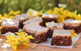 Raw cacao superfood brownies, with coconut, lucuma, walnuts, sunflower seeds, hemp seeds. Gluten-free, Vegan by Anastasia @ Kind Earth