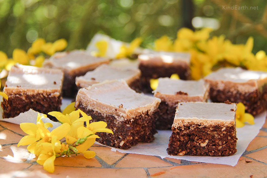 Raw cacao superfood brownies, with coconut, lucuma, walnuts, sunflower seeds, hemp seeds. Gluten-free, Vegan by Anastasia @ Kind Earth