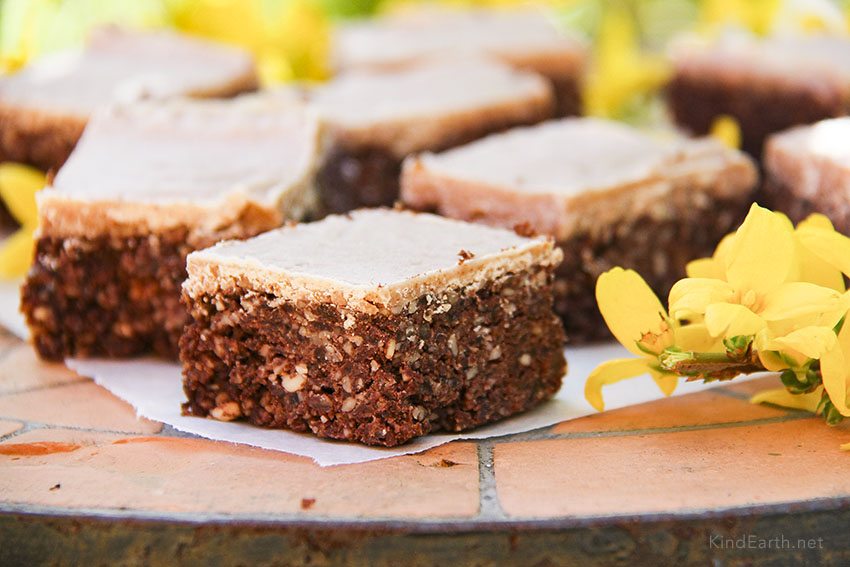 Raw cacao superfood brownies, with coconut, lucuma, walnuts, sunflower seeds, hemp seeds. Gluten-free, Vegan by Anastasia @ Kind Earth