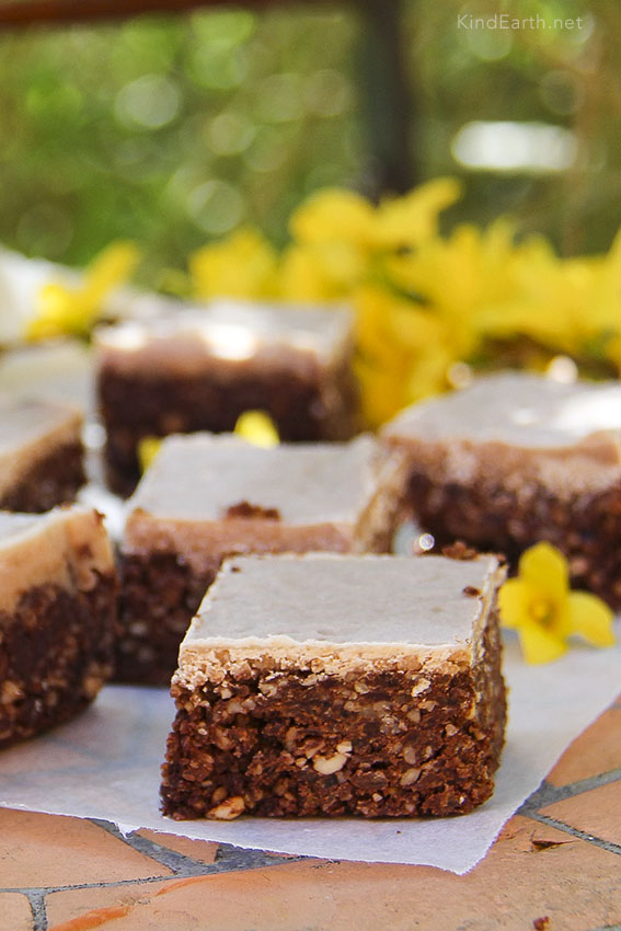 Raw cacao superfood brownies, with coconut, lucuma, walnuts, sunflower seeds, hemp seeds. Gluten-free, Vegan by Anastasia @ Kind Earth