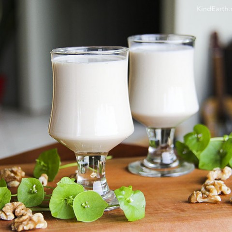 How to make walnut milk with a nut milk bag - super easy and healthy by Anastasia, Kind Earth