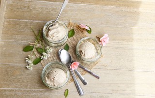 Easiest Vegan No churn Coconut Ice Cream with only TWO ingredients - best ever by Anastasia from Kindearth.net