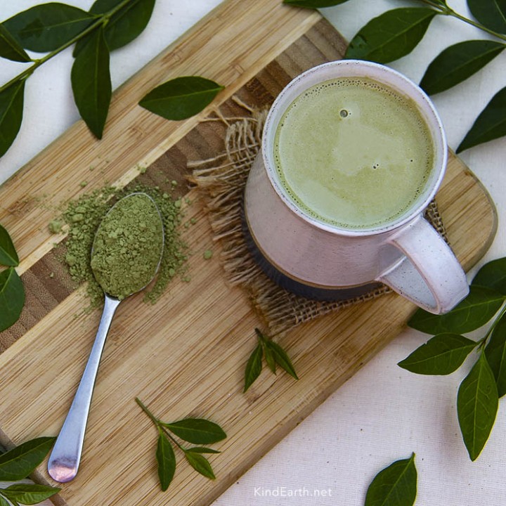 Milky matcha vegan drink with cashew nuts. High in antioxidants and l-theanine by Anastasia, Kind Earth
