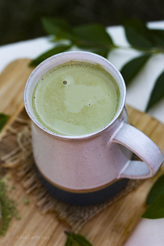 Milky matcha vegan drink with cashew nuts. High in antioxidants and l-theanine by Anastasia, Kind Earth