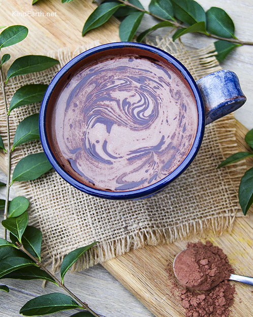 Easy vegan hot chocolate made from scratch in a blender using cashews and hempseeds, ginger, cacao and maple syrup - by Anastasia, Kind Earth