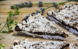 Date Slices - gluten-free vegan, date & maple sweetened by Anastasia https://www.KindEarth.net