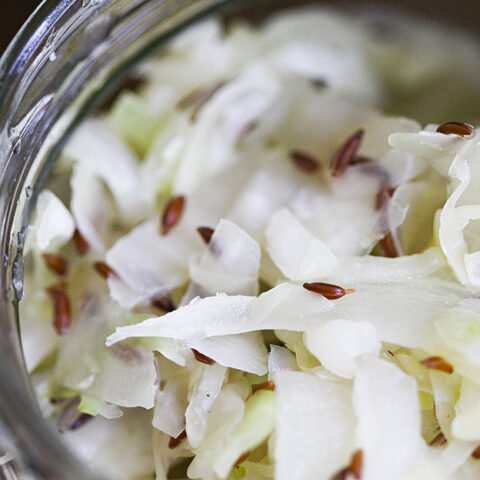 Homemade sauerkraut in a jar 3 different wasy with white cabbage, caraway seeds and ginger